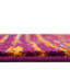 Tapis contemporain brun Manlia-1720451528