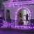 Purple selected