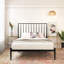 Wolak Metal Bed-986750502-986750500