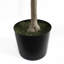 Faux Plant in Pot Liner-134222228