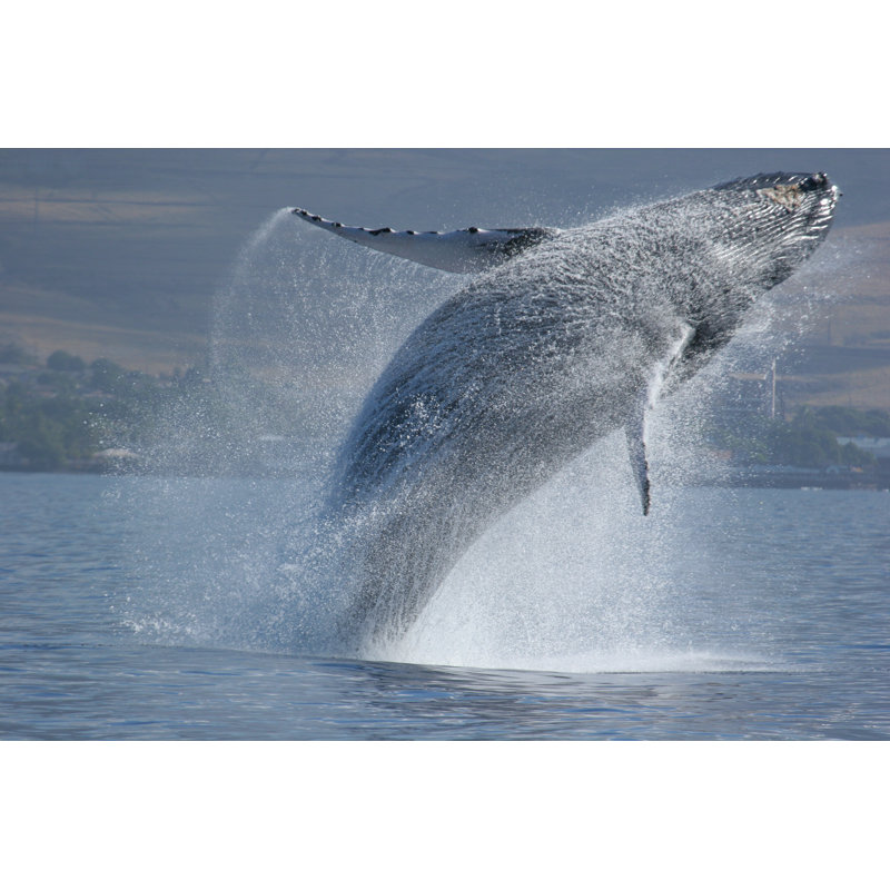 Breach Sequence by Adwalsh - No Frame Art Prints on Canvas, 61cm H x 91cm W