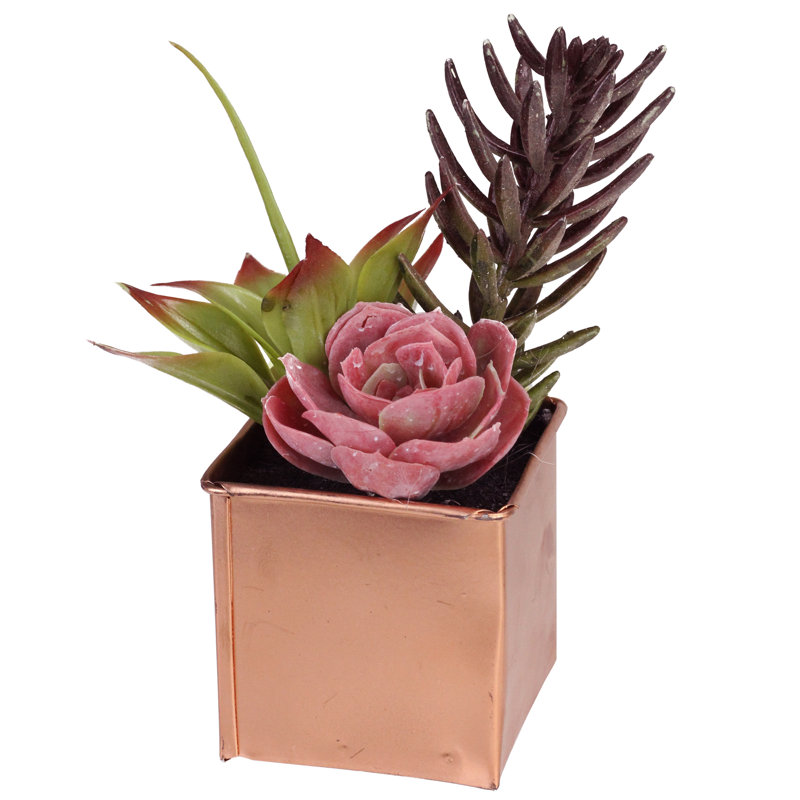 Arrangement de plantes grasses artificielles en pot 7 po