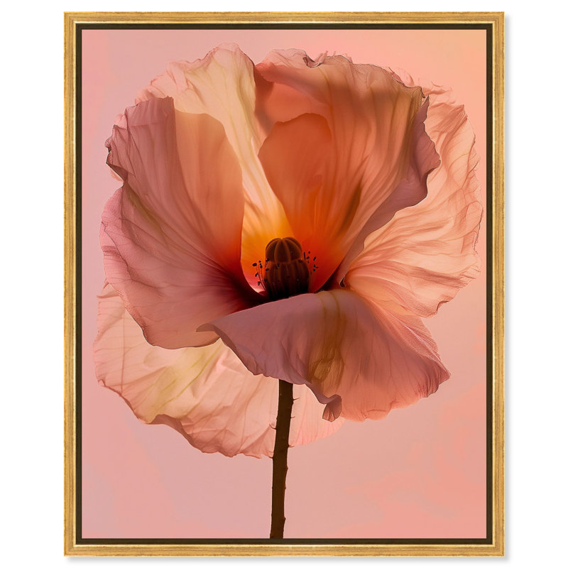 Amber Radiance I Print by Oliver Gal, 21"H x 25"W, Gold Floater Frame