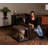 Plastic Collapsible Pet Crate with 4 Doors-11153466-11153467