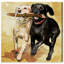 «Animals Playtime Dogs and Puppies», impression sur toile tendue-22342567-68880208-120017729