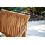 Palm Teak Patio Dining Chair