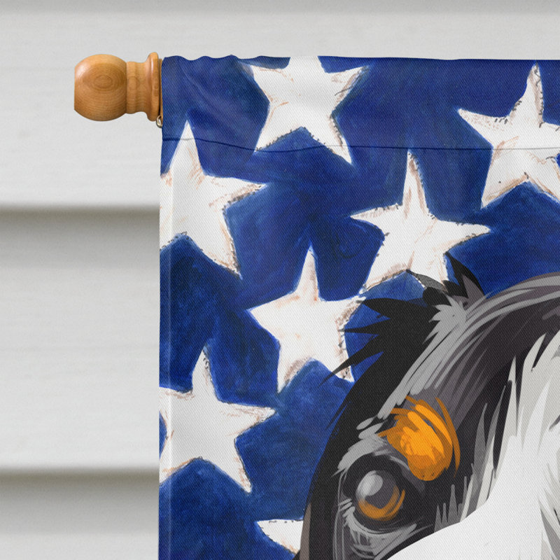 Polyester à 2 côtés 28 x 40 po drapeau maison, Bouvier de l'Entlebuch