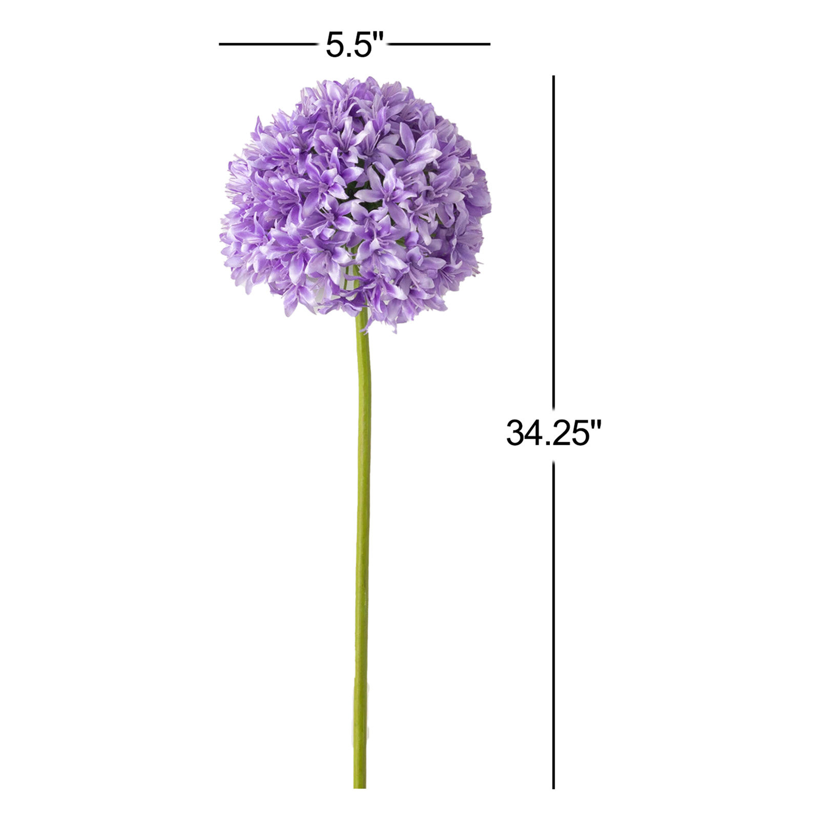 Lush Allium Floral Stems