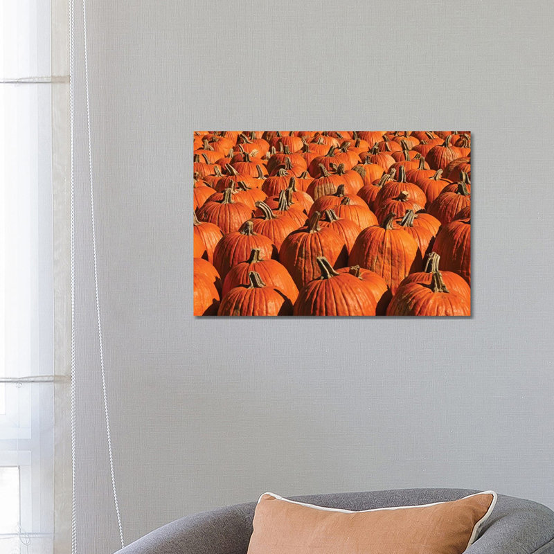 Pumpkins, Pumpkins, Pumpkins by Brian Wolf - Wrapped Canvas Print, 45.72cm H x 66.04cm W x 1.91cm D