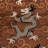 Bixi Velvet Fabric-90673651