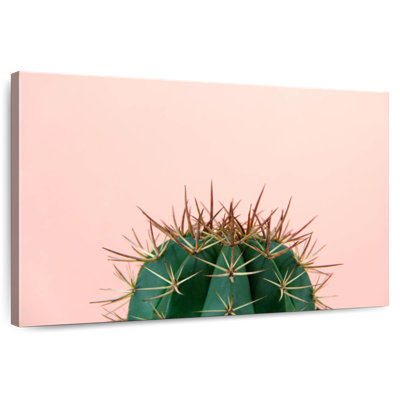 Cactus simple Harnek