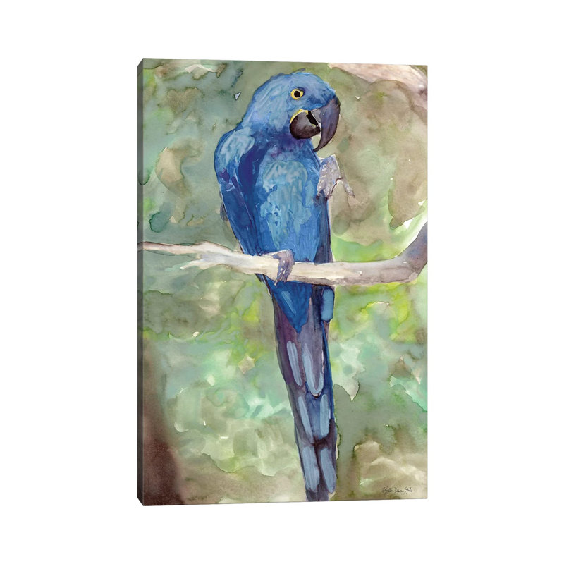 Blue Parrot II by Stellar Design Studio - Wrapped Canvas Gallery-Wrapped Canvas Giclée, 20.32 cm H x 30.48 cm W