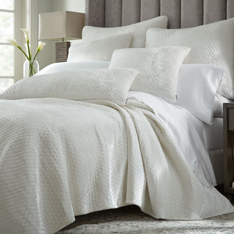 Enzo Sham, Ivory