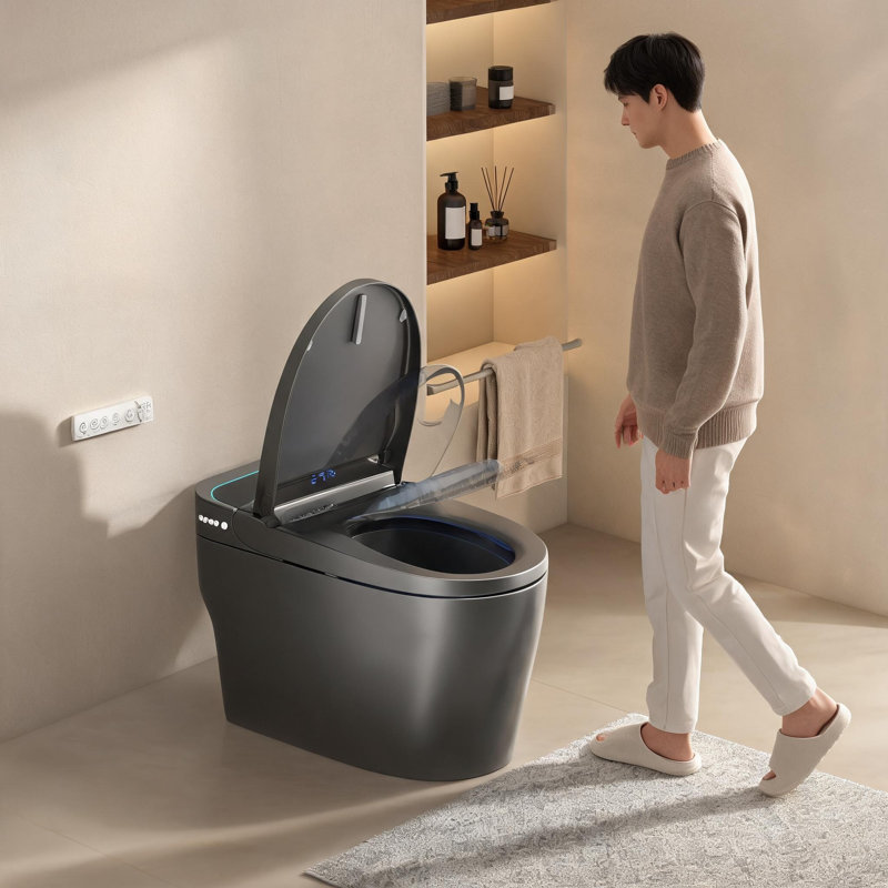 Toilettes monobloc intelligentes en céramique grise avec bidet intégré et ouverture/fermeture automatique de l'abattant