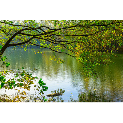 Tree Branch With Colourful Leaves Over Lake - Wrapped Canvas Print