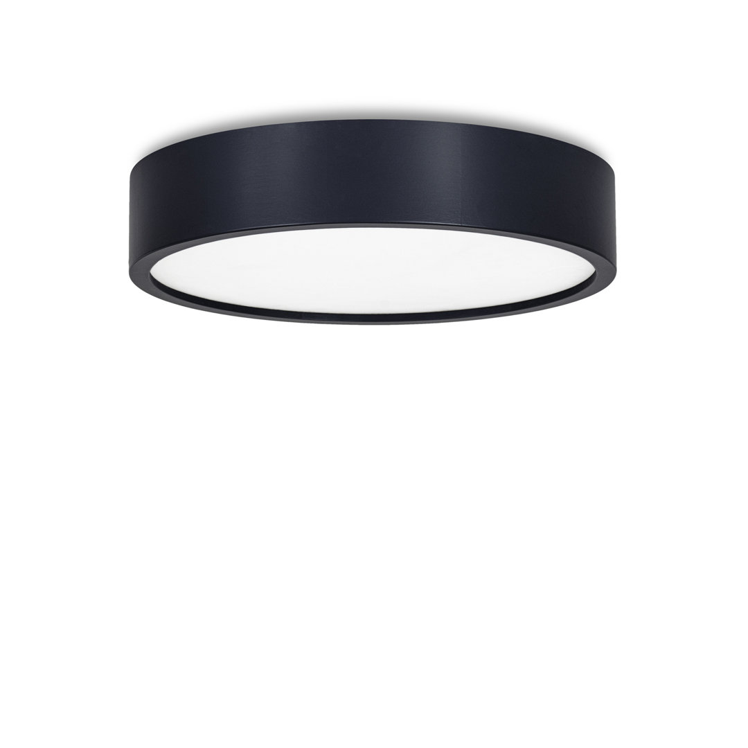 Demitra 1-Light Flush Mount
