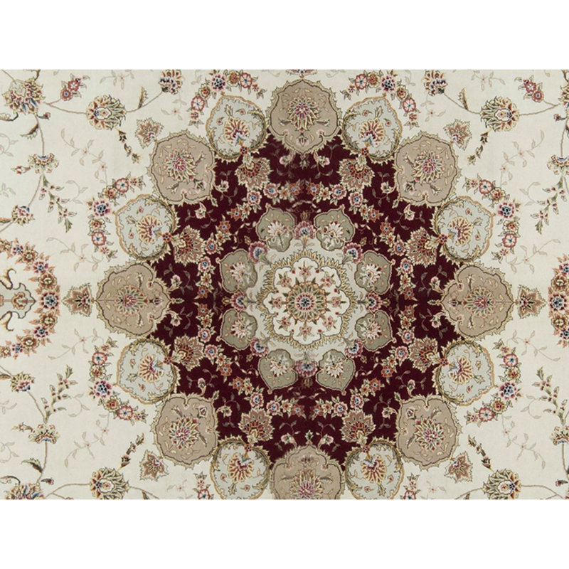 Elegance Oriental Area Rug