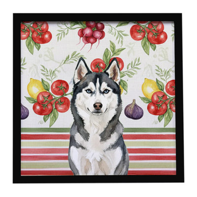 Husky sibérien, impression sur métal encadrée