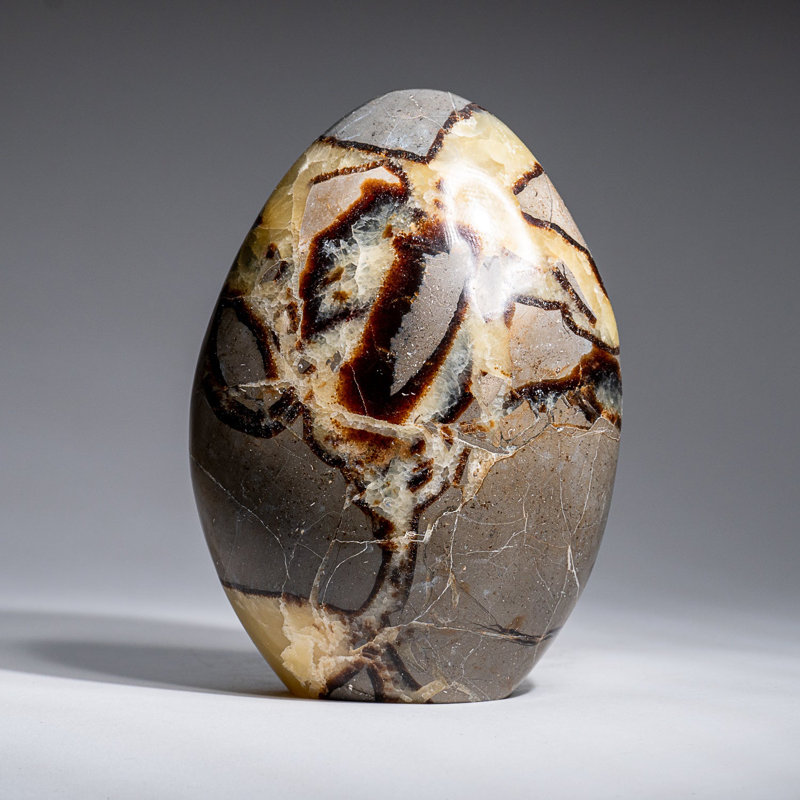 Polished Septarian Freeform from Madagascar (2.3 Lbs), 5" H x 4" W x 2.5" D