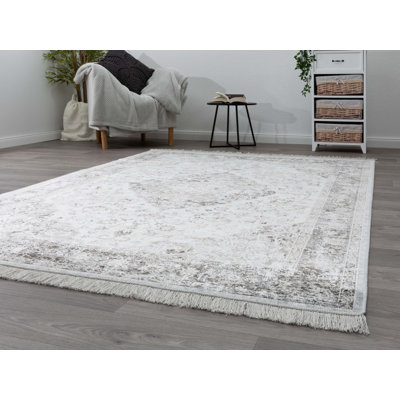 Courtois Oriental Viscose Area Rug