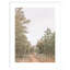 Sentier sinueux par Alicia Abla-95764974-95764980