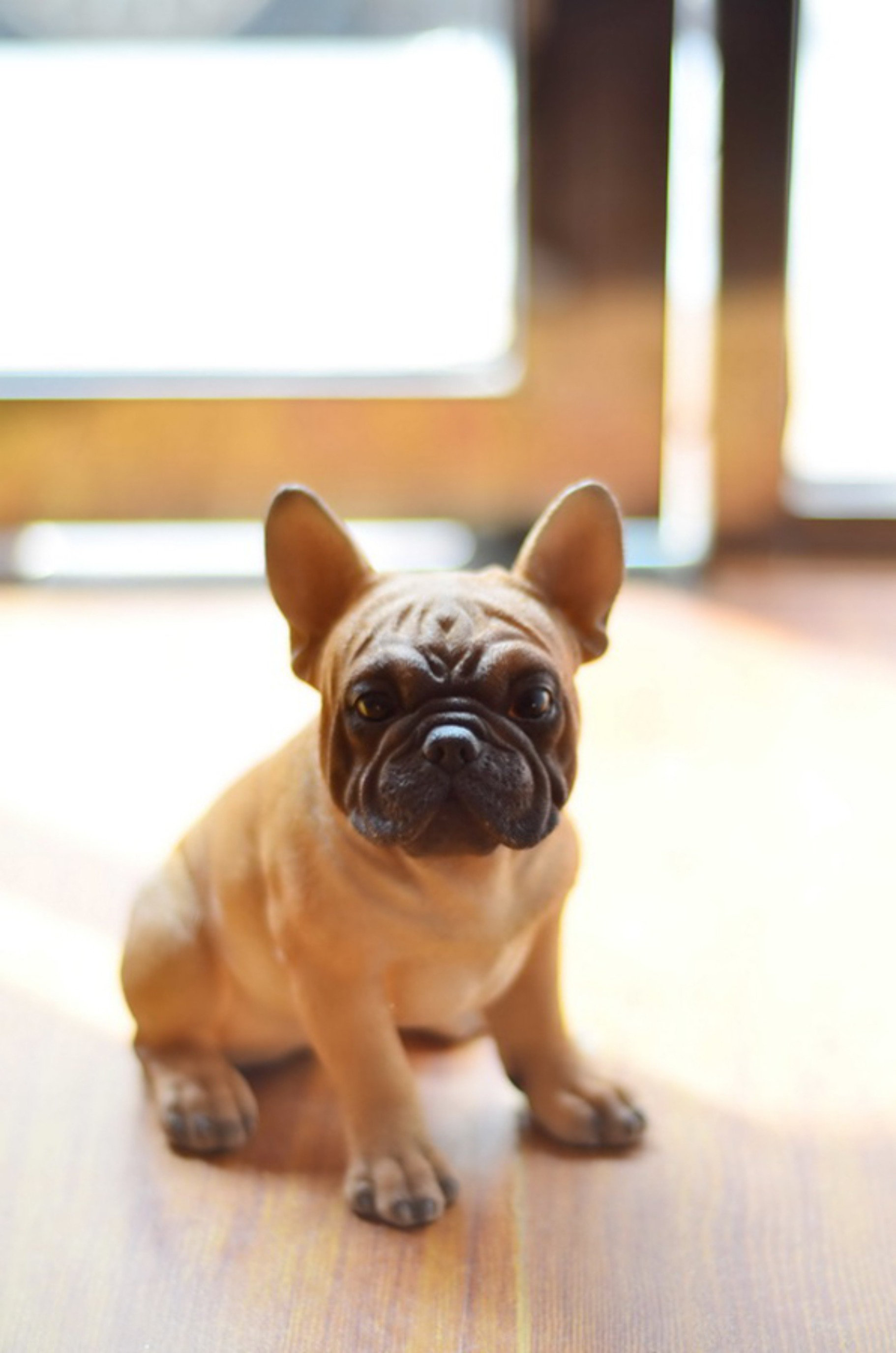 https://assets.wfcdn.com/im/19955861/compr-r85/2618/261858416/sitting-french-bulldog-puppy-statue.jpg