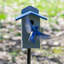 Solutions Bluebird House 12 po x 9 po x 7 po Solutions