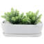 Indoor White Ceramic Succulent Pot Planter