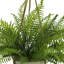 Outdoor UV-Rated Fern in Hanging Pot