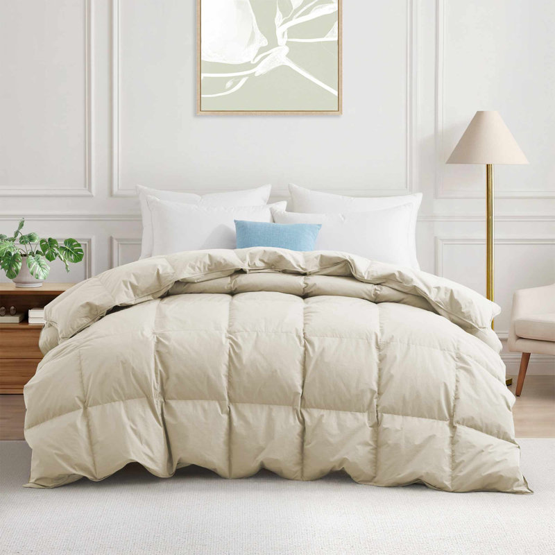 All Season Goose Feather and Down Comforter Cotton Duvet Insert with Premium 100% Cotton Cover, Khaki, Full/Queen