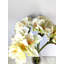 Amaryllis, arrangement floral dans un vase