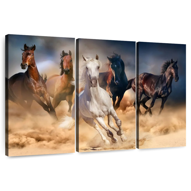 Brampt Sprint, chevaux arabes, H 32 po x l 50 po