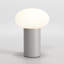 Zeppo LED Table Lamp-1590562910