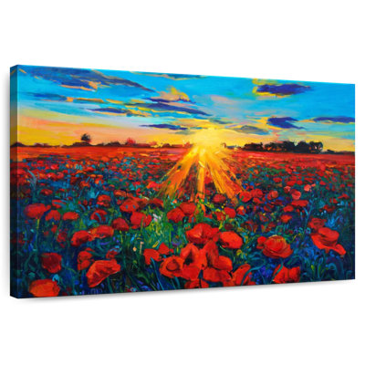 Alvord Poppy Field Golden Hour