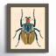 Beetle Bug I By Farwell Wood Framed Wall Art Print-91291835-91291836