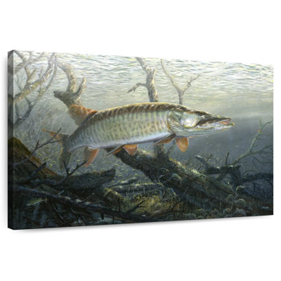 Brampt Cruising The Shallows - Muskie