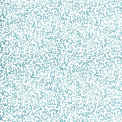 Coralcoast