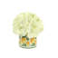 Hydrangea In A Ceramic Label Pot-41921069