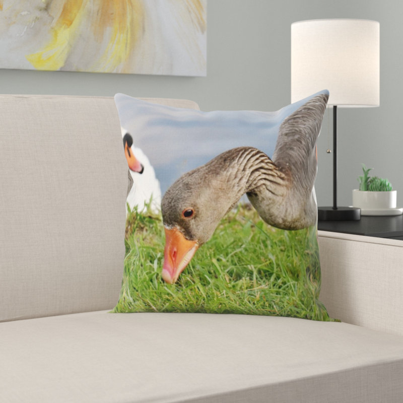 Coussin d’oie