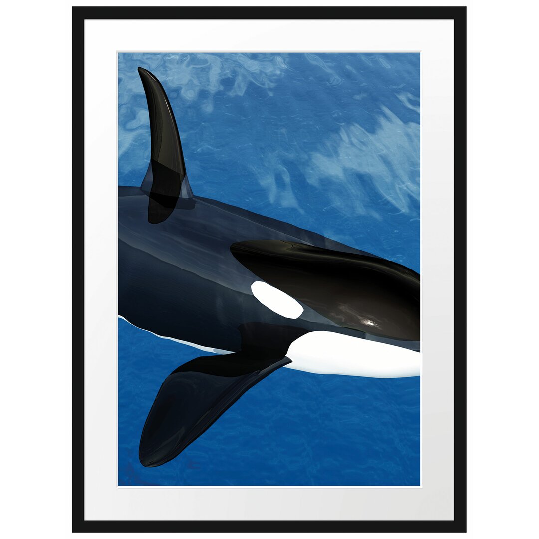 Gerahmtes Poster Orca im blauen Meer