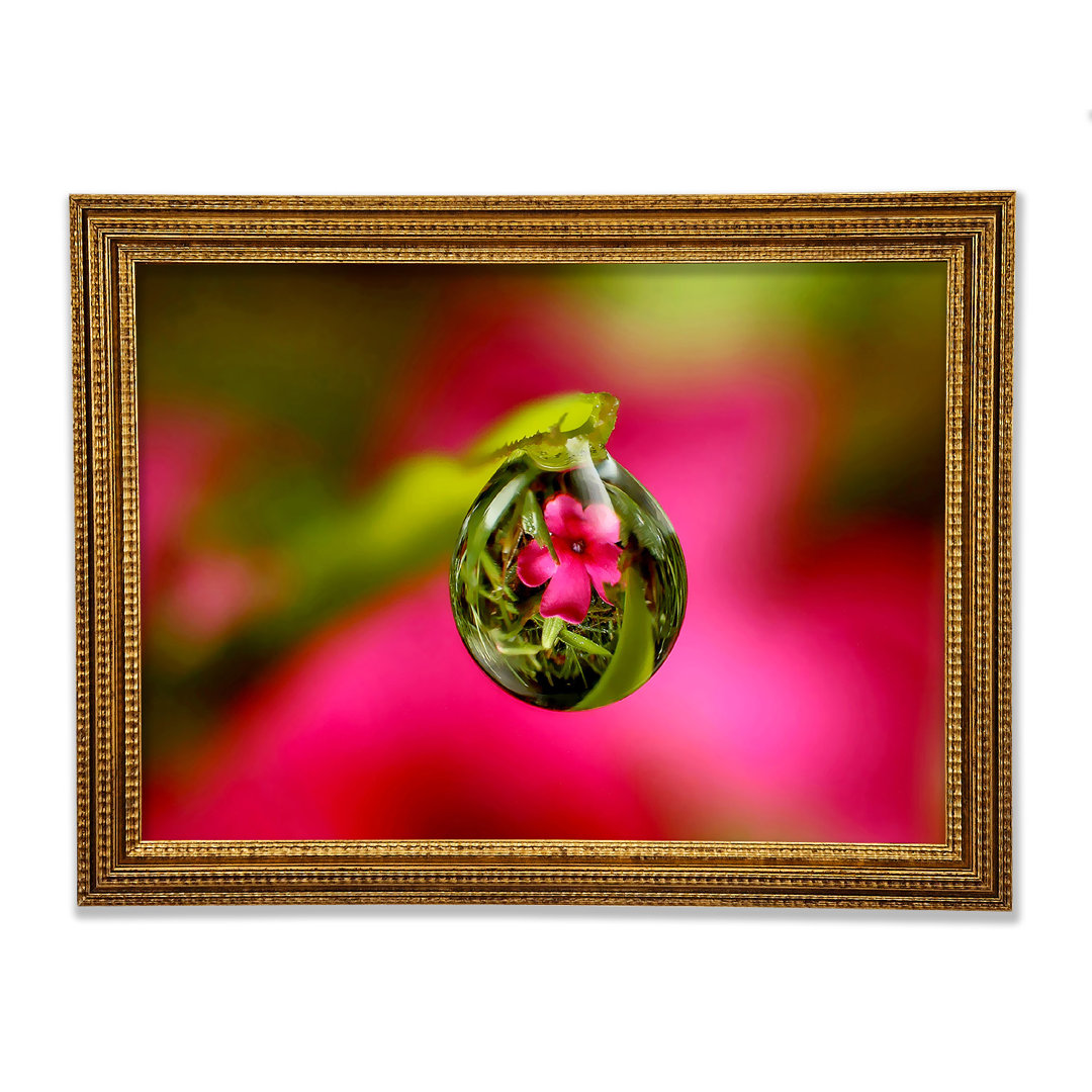 Reflexion einer rosa Blume - Druck