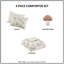 Ensembles de literie hypoallergéniques en polyester, style champignon floral pour la maison