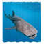 Shower Curtain with Hooks Included-44239258