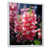 Cadre flottant blanc