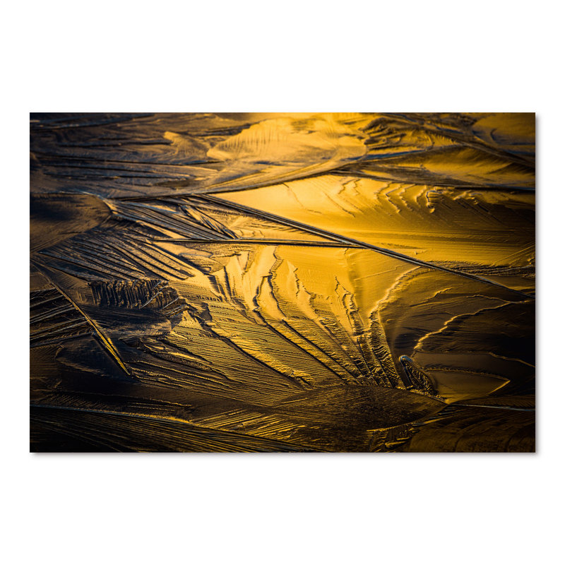 Jaune et gris froid - Photographie sur toile, H 40 po x l 60 po, Toile tendue
