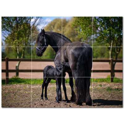 Murale en céramique satinée cheval photo 12 po x 12 po