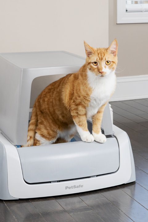 Shop Cat Litter Boxes