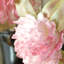 Faux fleurs artificielles