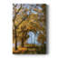 The Road to You -Gallery Wraraped Cavas-694904039
