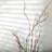 63'' Faux Branch